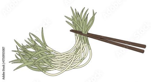 Fresh green herbs are gathered together and held by two chopsticks for preparing a meal.