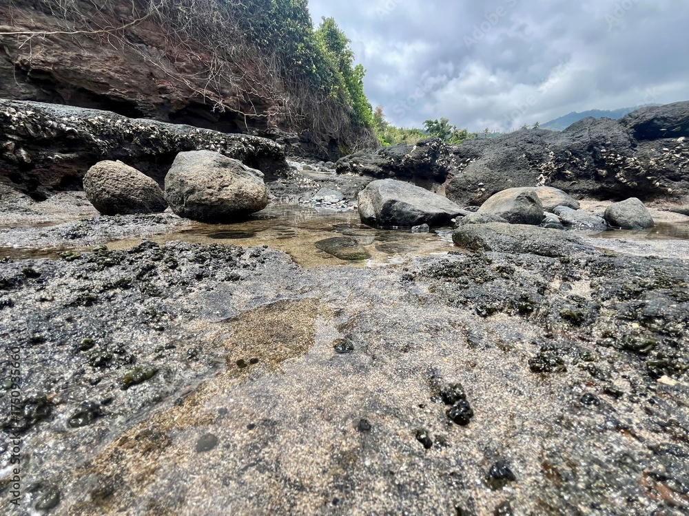 Obraz premium Faune et flore de l'île de Mayotte rocks