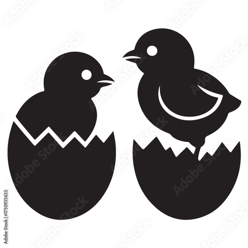 Two cute little chicks hatching from their eggs, isolated on white background