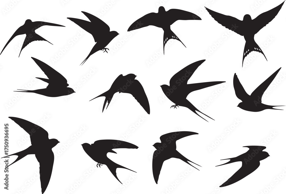 Fototapeta premium Whisk_lnzmkfwm1umzljjmtiwm2ewllzmm00iz5etytmz_traced