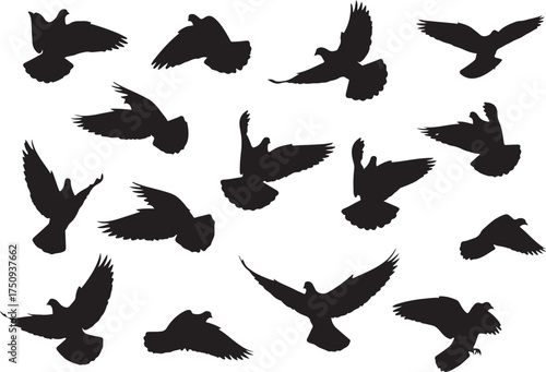 Vector art of a dynamic composition of dove silhouettes in various flight poses, , showcasing their wings in motion and creating a sense of freedom and natural behavior in the sky