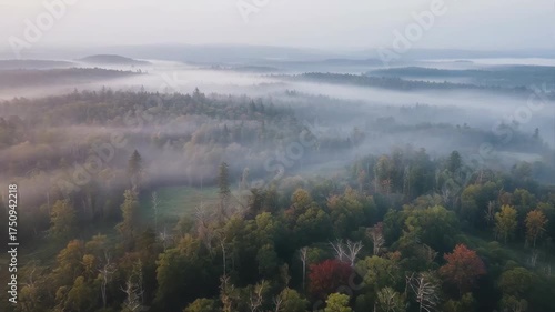 Misty Forest Landscape With Autumn Trees During Sunrise With Soft Hazy Light And Fog Rolling Over Hills In Rural Countryside