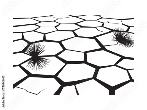 Cracked Earth Silhouette with Sea Urchins Vector Graphic Art