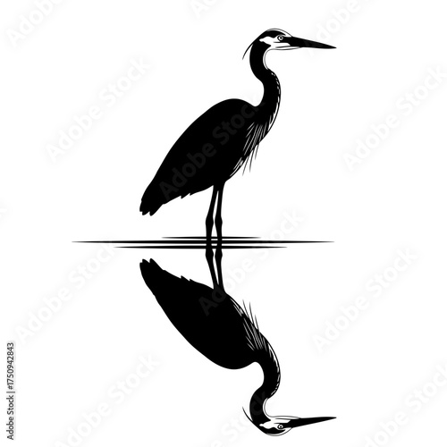 Heron silhouette reflected in water isolated on white background