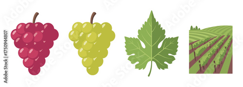 Two bunches of grapes, one red and one green, next to a green grape leaf and a vineyard illustration.