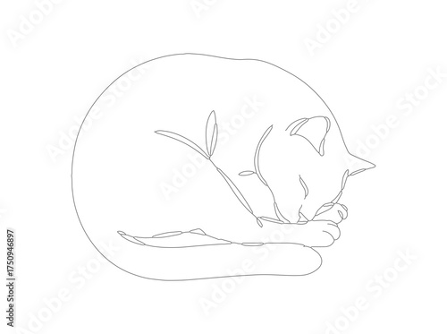 Dotted Line Cute Sleeping Kitten Pet Illustration Animal