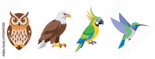 Stylized illustrations of four different bird species, including an owl, eagle, parrot, and hummingbird, showcasing diverse colors and features.