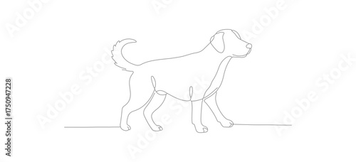 Minimalist Line Art Walking Dog Illustration Domestic Animal Graphic