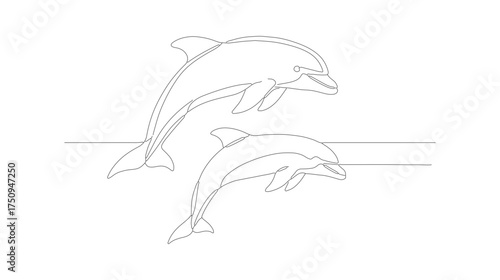 Minimalist Outline Two Dolphins Jumping out of Water Illustration