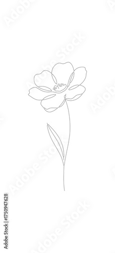 Simple Line Art Style Rose Flower Floral Botanical Illustration