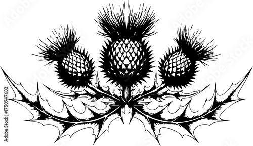 Tableau sur toile Elegant thistle emblem symbolizing strength, resilience, and Scottish heritage, perfect for design projects