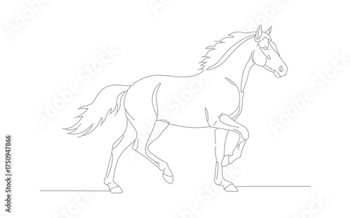 Minimalist Outline Running Stallion Illustration Graphic Animal Clipart Design Element