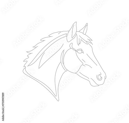 Minimalist Outline Horse Head Drawing Detailed Animal Illustration