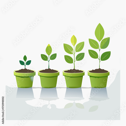 plant in pot
