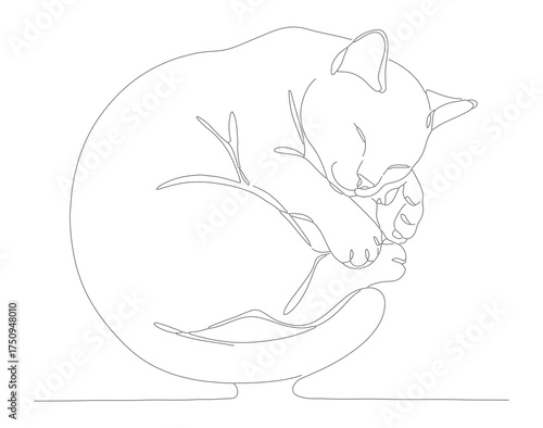 Minimalist Line Art Sleeping Cat Illustration Domestic Feline Animal