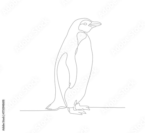Outline Simple Emperor Penguin Standing Pose Isolated Line Art Drawing