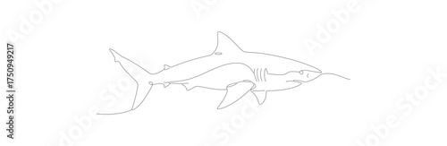 Minimalist Dotted Line Great White Shark Animal Marine Outline