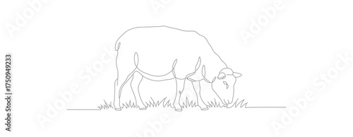 Simple Line Art Grazing Sheep Illustration Farm Animal Icon