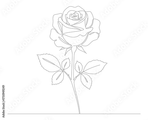 Minimalist Line Art Rose Flower with Stem and Leaves Illustration