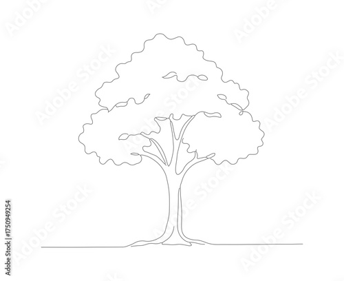 Minimalist Outline Drawing of Deciduous Tree with Trunk and Canopy Illustration