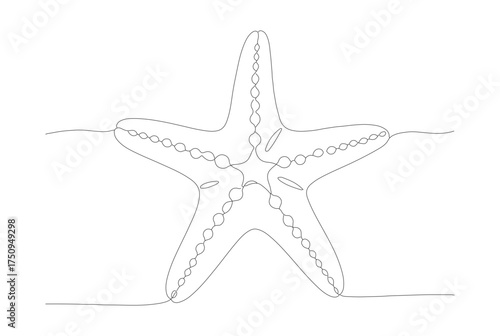 Simple Outline Starfish Illustration Sea Creature Marine Life Artwork