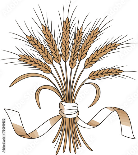 Wheat Stalks Tied with Ribbon on White Background grain