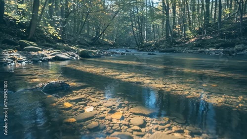 Sunlight Reflecting On A Forest Stream With Autumn Leaves And Rocky Shoreline