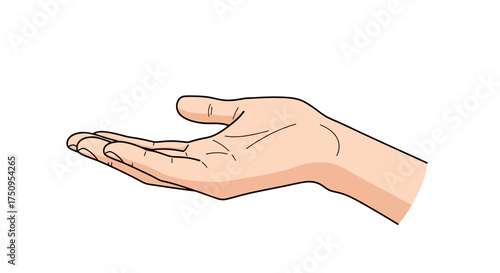 An illustrated human hand held open with the palm facing upwards on a white background.