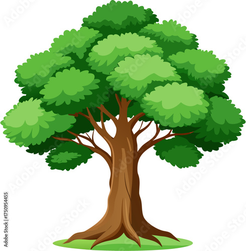 tree with roots