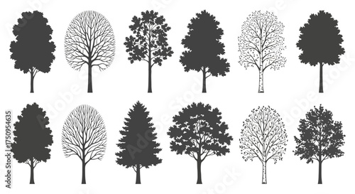 Silhouette illustrations of various tree types with different foliage and bare branches.
