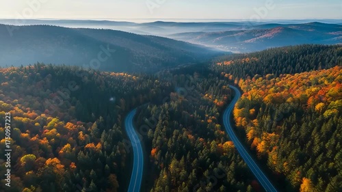 Winding Mountain Road Through Autumn Forest With Golden Orange Foliage And Deep Green Pines Under Soft Morning Sunlight