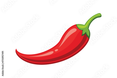 Red chili pepper vector illustration isolated on white background 