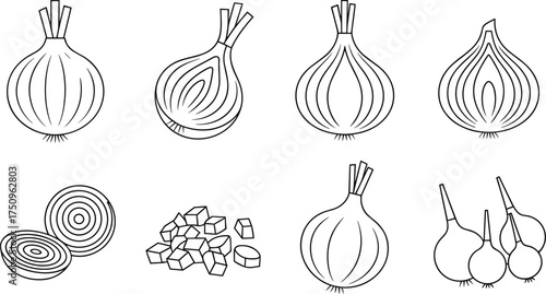 Detailed black and white line art illustration of onion bulbs and slices, hand drawn botanical vegetable sketch for kitchen design