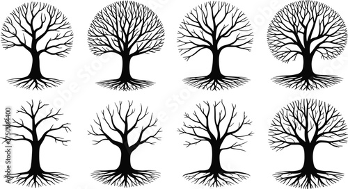 Set of eight black and white tree silhouettes with roots, minimalist nature illustration, life growth and balance concept vector