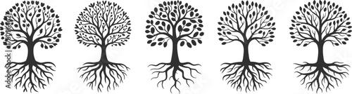 Set of five black and white tree silhouettes with roots, nature growth concept, life and family tree illustration vector