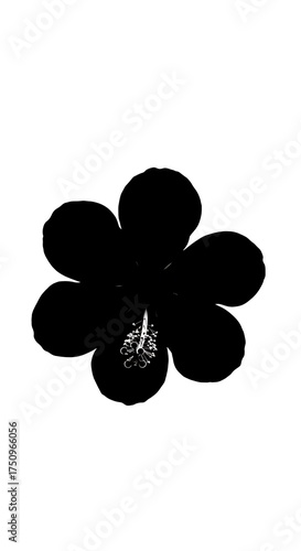 Monochrome Flower Silhouette - A Minimalist Botanical Illustration.