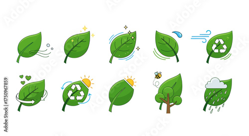 Collection of Green Leaf Icons Representing Environmental Elements and Sustainability.