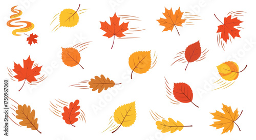 Collection of Colorful Autumn Leaves Blowing in the Wind.