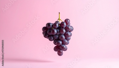 Dark purple grapes clustered against light pink background