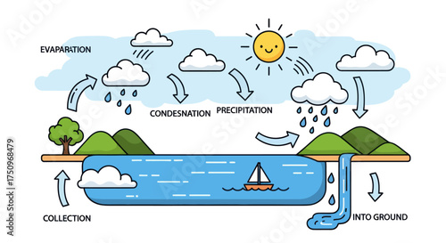 Illustrative diagram of the Earths water cycle with evaporation condensation and precipitation.