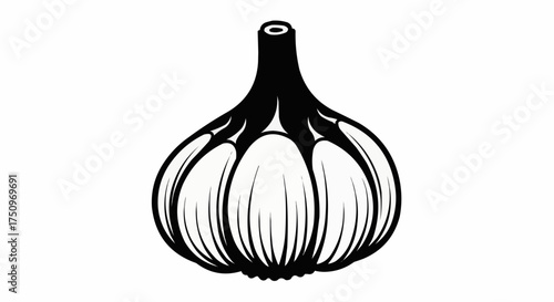 Bold garlic bulb illustration with strong contrast for culinary designs