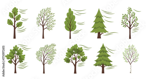 Collection of stylized trees blowing in the wind various shapes and foliage.