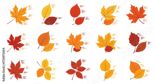 Assorted Colorful Autumn Leaves with Motion Trails Isolated.
