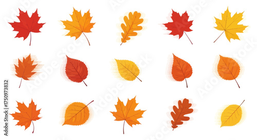 Collection of Autumn Leaves in Various Colors and Shapes.