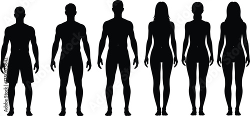 Human silhouette, male and female, body shape comparison, anatomical reference, character modeling, simplified anatomy, standing pose, black figures, design guide, gender difference, body