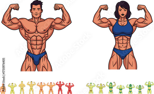 Muscular cartoon character illustration, male and female flexing pose, body type progression, fitness anatomy chart, colorful physique comparison, health concept design