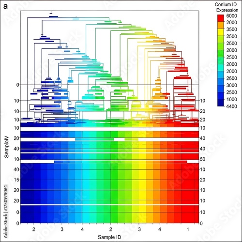 Gene Expression Analysis - A Visual Representation of Data Clustering and Sample Relationships.