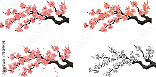 Cherry Blossom Tree Branches in Four Artistic Styles – Pink Petals, Grayscale, Natural, and Stylized Floral Spring Design Vector