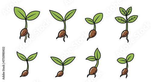 Diverse Stages of Seedling Growth and Development.