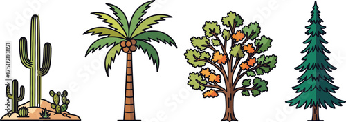 Vector illustrations of cactus, palm, deciduous autumn, and pine trees in flat design style for nature and botanical themes